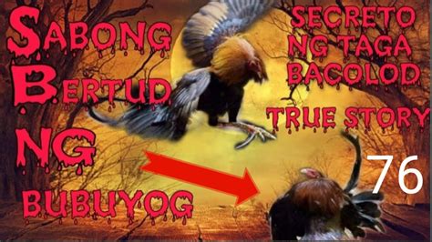 bertud ng bubuyog|Mga bubuyog, natuklasan ng mga siyentipiko na gusto rin ng .